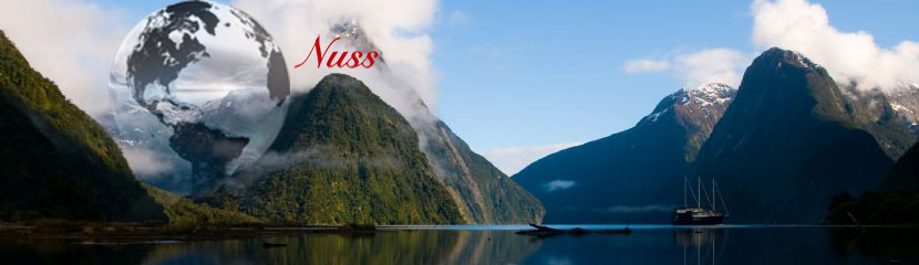 moving to new zealand