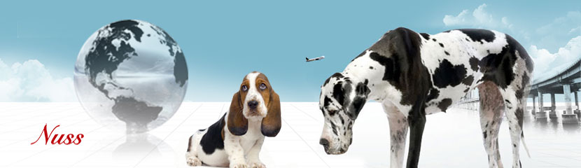 removals with pets