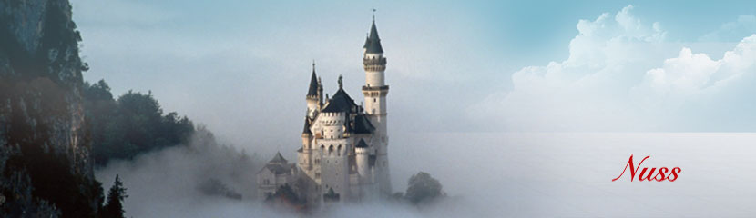 removals to germany
