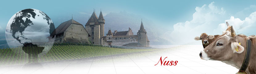 moving to switzerland