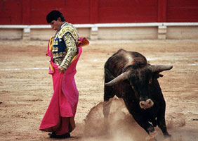 Spanish Matador