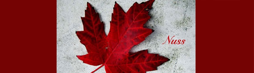 moving to canada