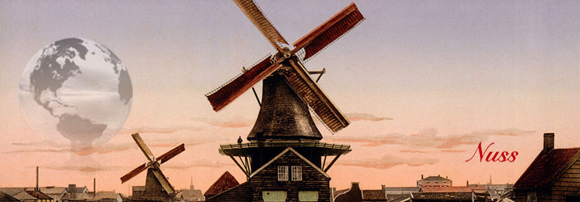 moving to the netherlands